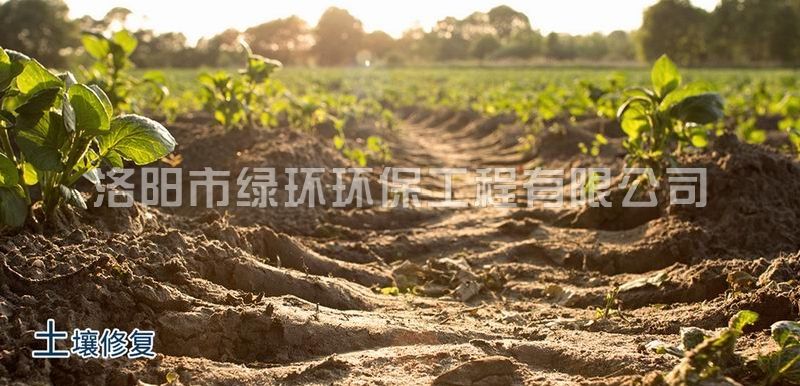 5001拉斯维加斯(中国游)有限公司官网
